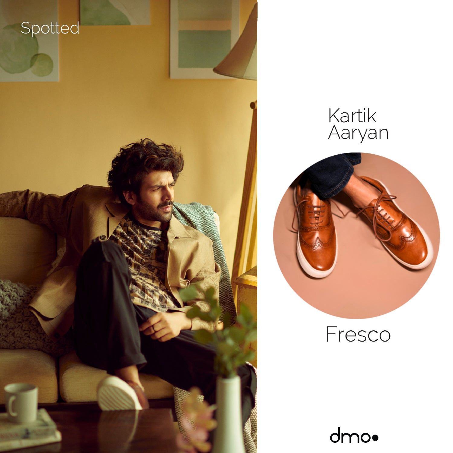 Kartik Aaryan X Fresco